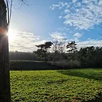 Waldhaus Im Naturpark
