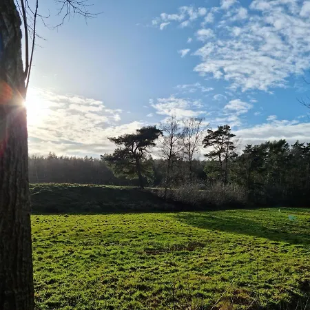 Waldhaus Im Naturpark
