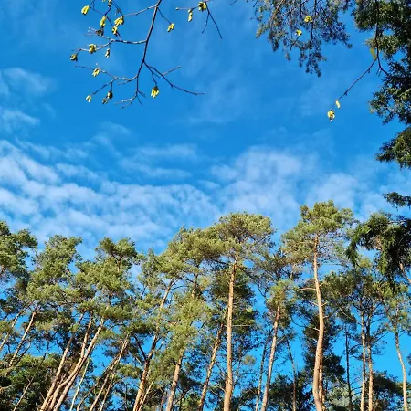 Prázdninový dům Waldhaus Im Naturpark Dötlingen