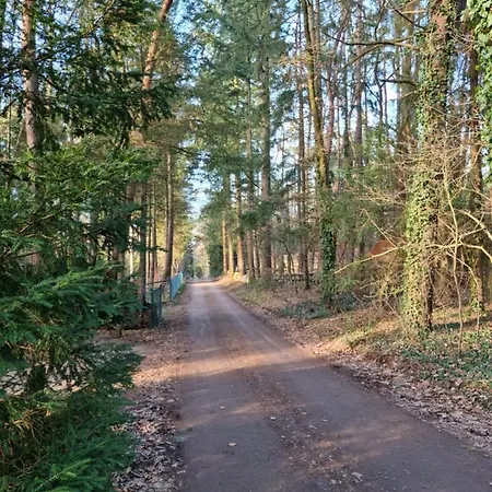 Prázdninový dům Waldhaus Im Naturpark