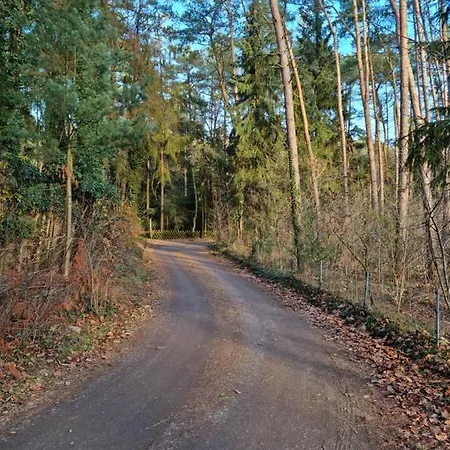 Prázdninový dům Waldhaus Im Naturpark *