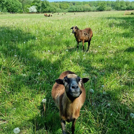 Waldhaus Im Naturpark Prázdninový dům *