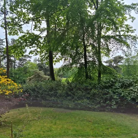 Holiday home Waldhaus Im Naturpark