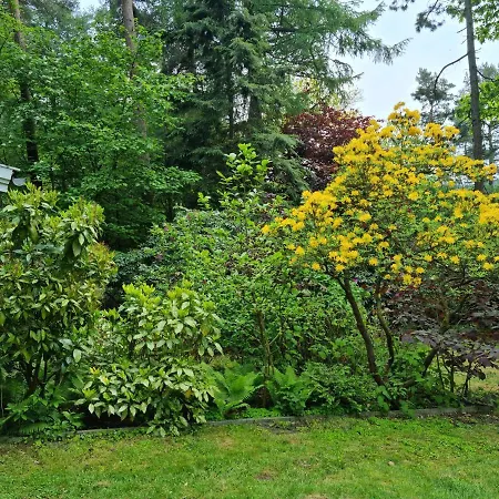 Holiday home Waldhaus Im Naturpark Dotlingen