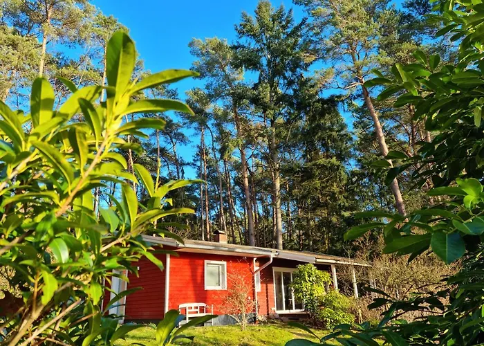 Waldhaus Im Naturpark Сasa de vacaciones Dötlingen
