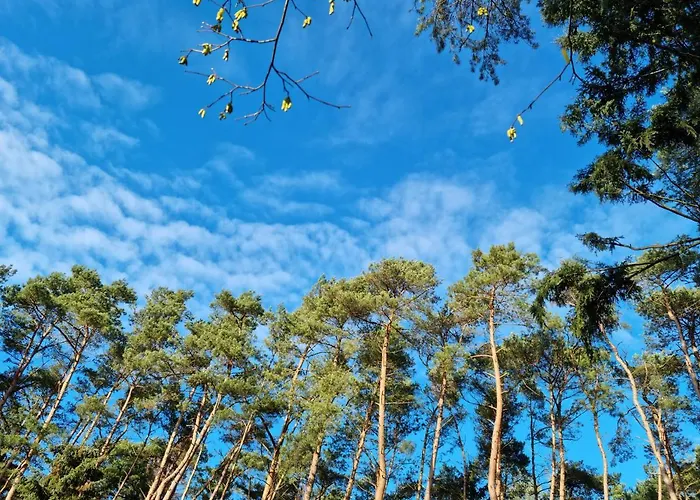 Сasa de vacaciones Waldhaus Im Naturpark Dötlingen