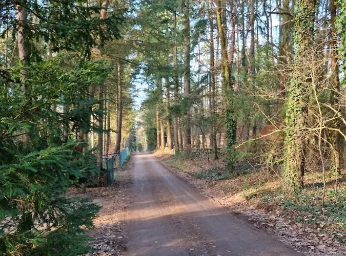 Сasa de vacaciones Waldhaus Im Naturpark