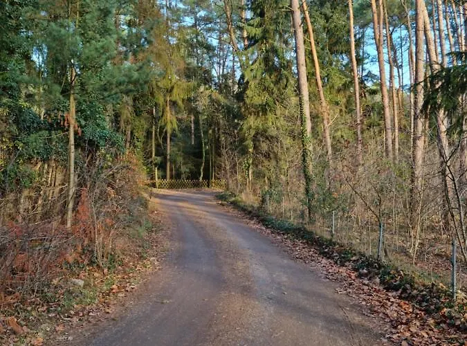 펜션 Waldhaus Im Naturpark *