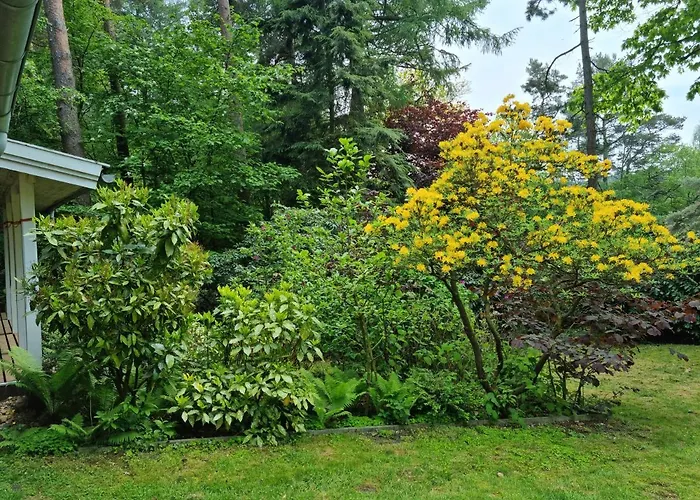 بيت للعطل Waldhaus Im Naturpark Dötlingen